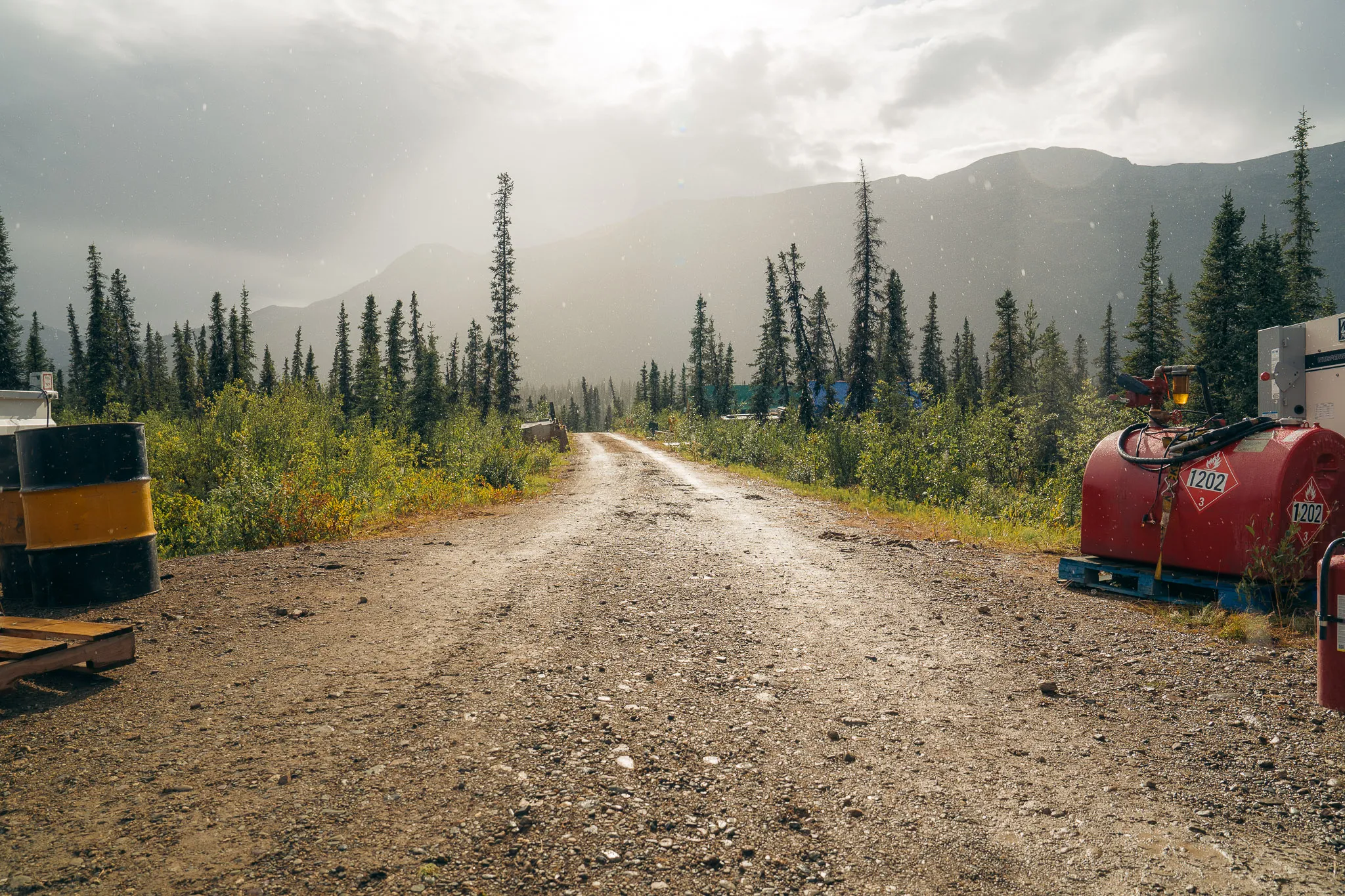Camp road through the Yukon forest