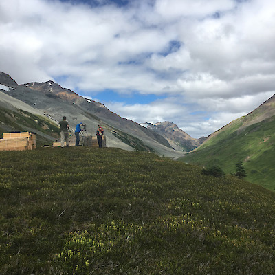 Forrest Kerr Gold Project, BC Core Aug. 2018