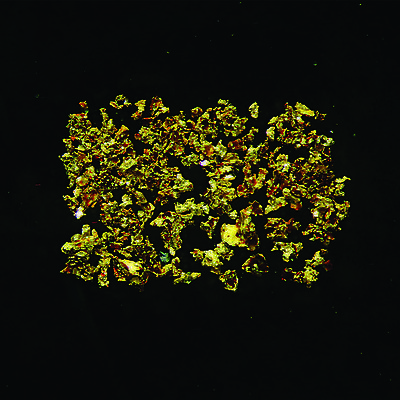 Coarse Grain Gold from Justin Project, Lost Ace Zone, Yukon - Sept. 2018